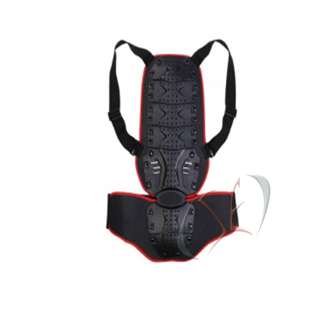 Back Protector
